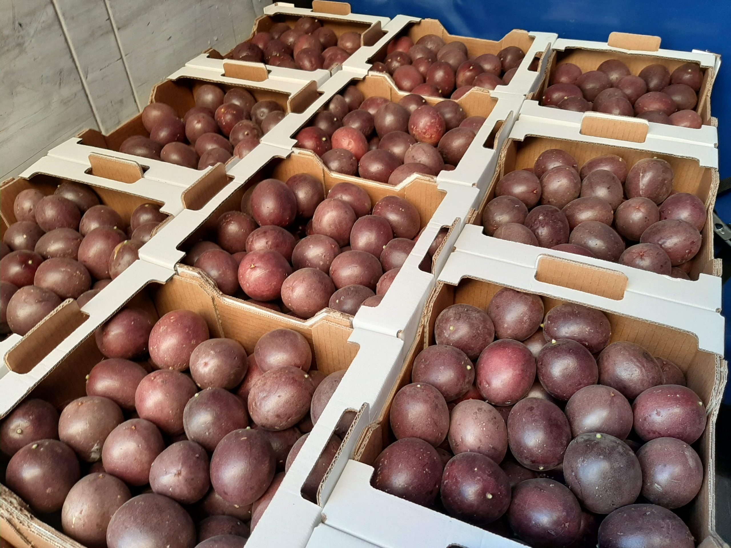 Fornecimento de consumíveis de embalamento