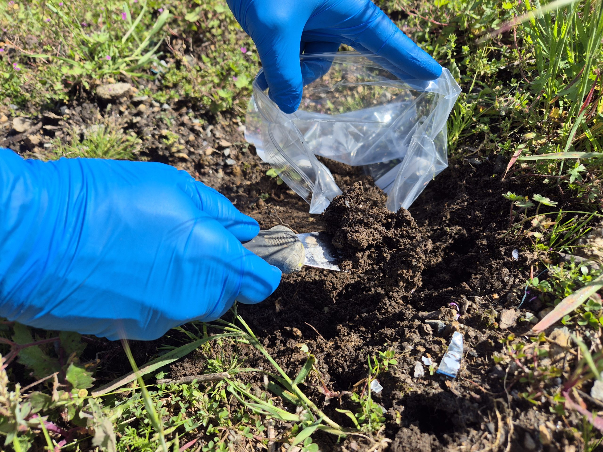 Analises Laboratoriais