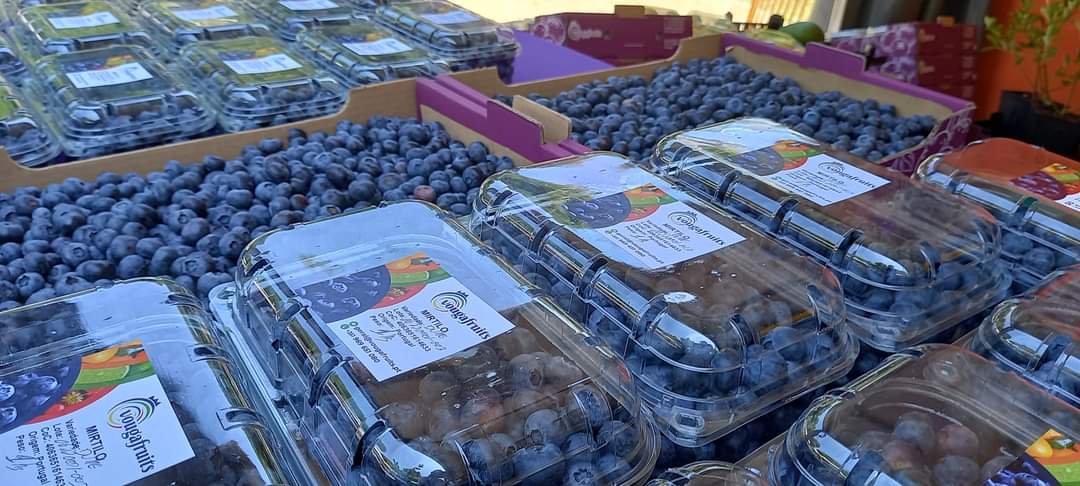 Feira do mirtilo