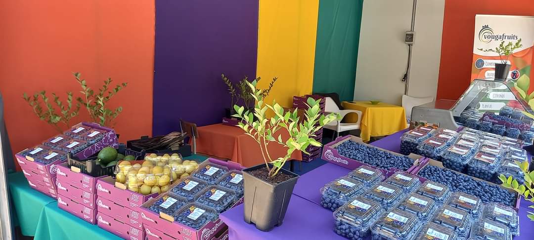 Feira do mirtilo